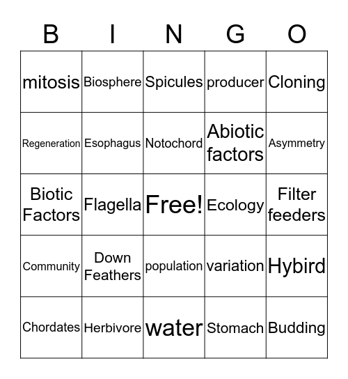 Exam Review 2 Bingo Card