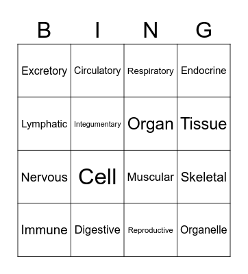 Body Systems Bingo Card