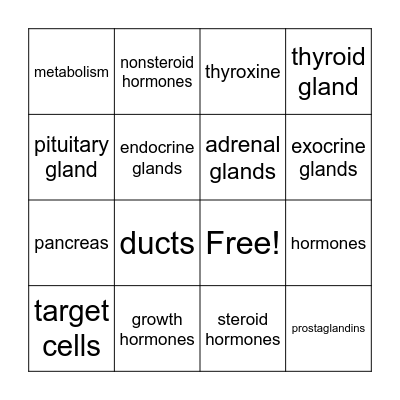 Endocrine System Bingo Card