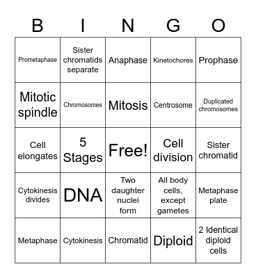 Mitosis Bingo Card