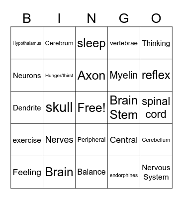 Nervous System Bingo Card