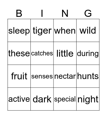 Night Animals Bingo Card