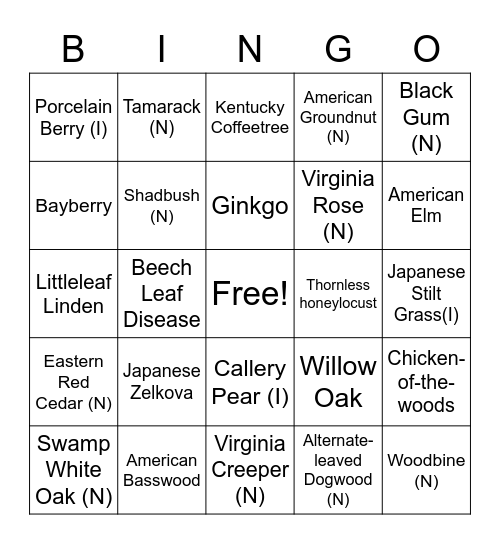 Get to Know Nature Bingo Card