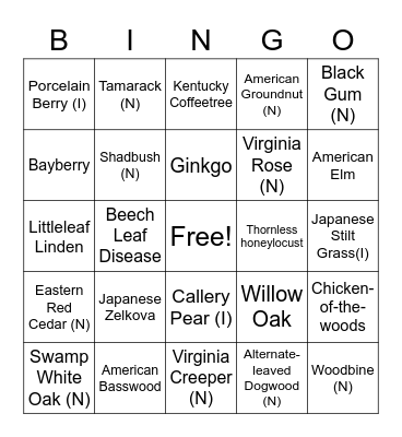 Get to Know Nature Bingo Card