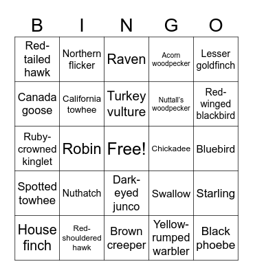 Bird Bingo Card