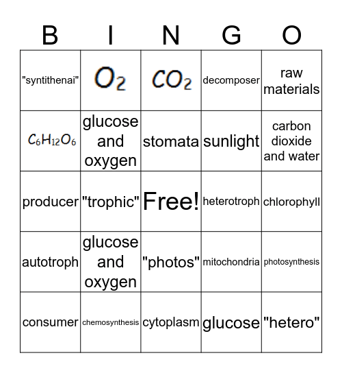 Photosynthesis Bingo Card