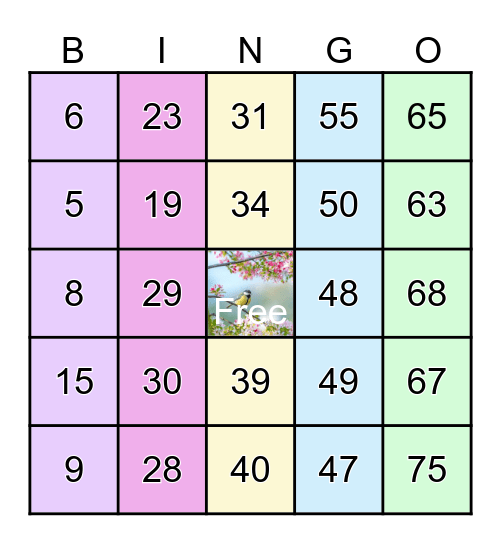 Highland Spring Bingo Card