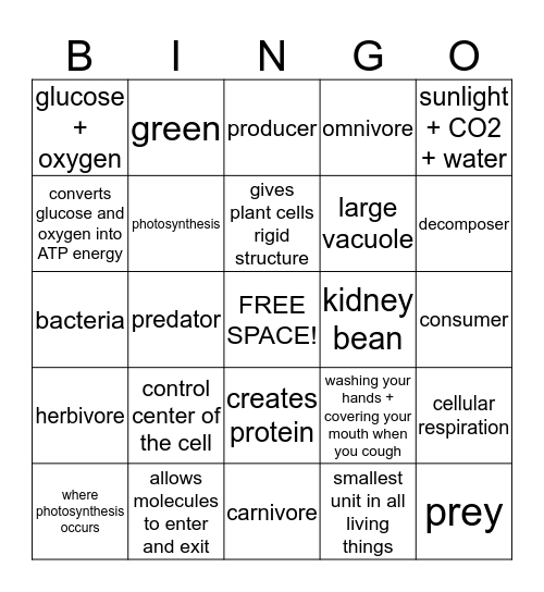 Cell organelle and Food Webs! Bingo Card