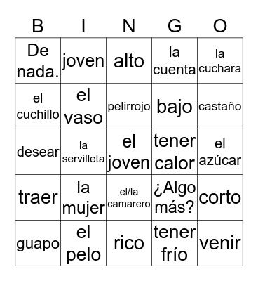 Spanish 1 Bingo Card