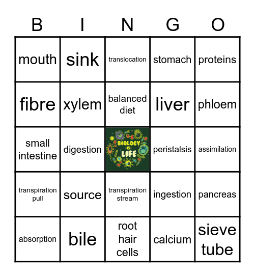 BIOLOGY Bingo Card