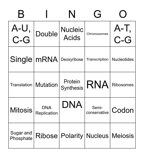 RNA, DNA and More Bingo Card