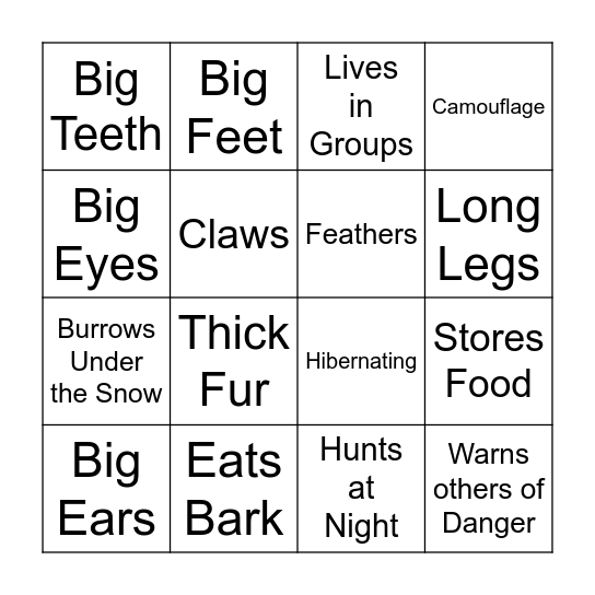 Animal Adaptation BINGO Card