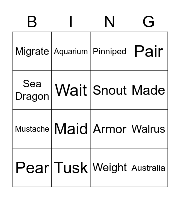 Bingo Card