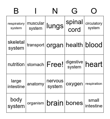 5th Grade Structure & Function of Life Bingo Card