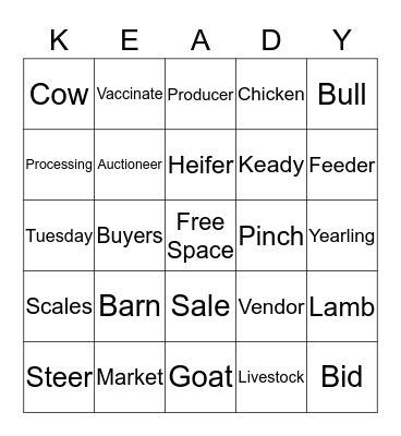 KLM Bingo Card
