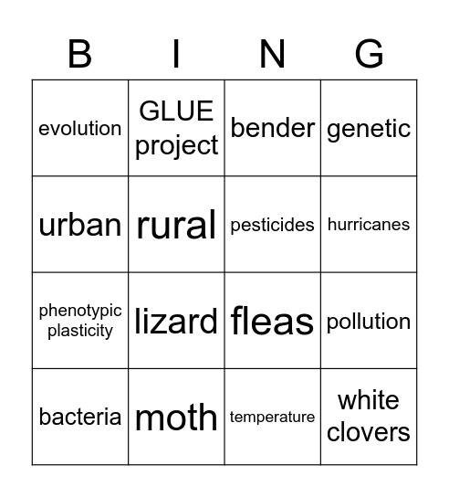Urban Evolution Bingo Card