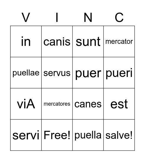 Stage 5 Singular vs. Plural Bingo Card