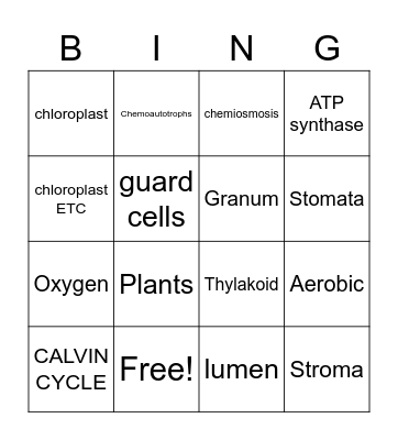 Photosynthesis Bingo Card