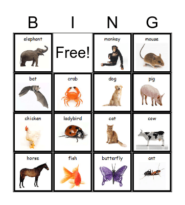 Animals Bingo Card