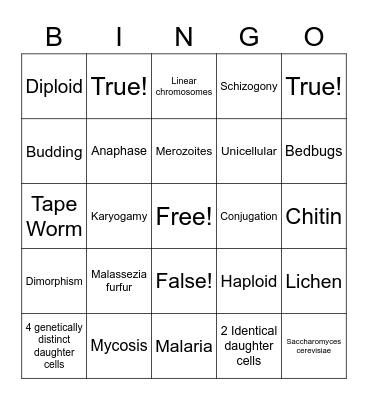 Chapter 11.1-11.2 BINGO Card