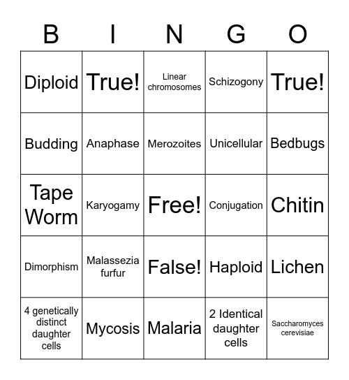 Chapter 11.1-11.2 BINGO Card