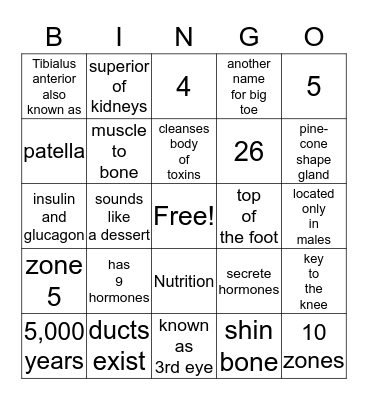 This Mod Fun Bingo Card