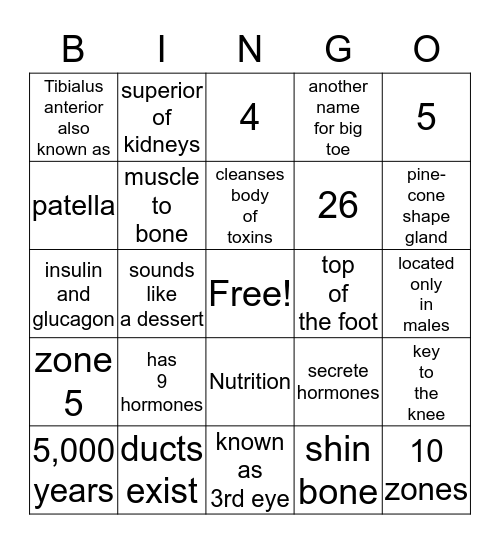 This Mod Fun Bingo Card