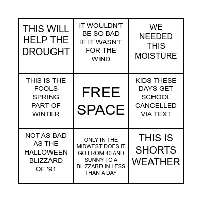 MIDWEST WINTER STORM Bingo Card
