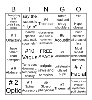 Cranial Nerves Bingo Card