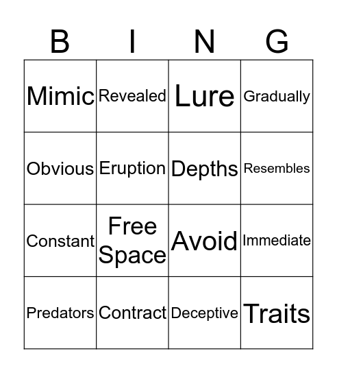 Robust Vocabulary Bingo Card