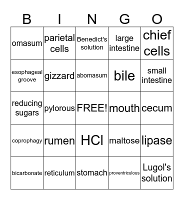 ASCI 110 Bingo Card