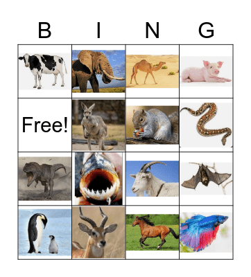 Me and my animal friends Bingo Card