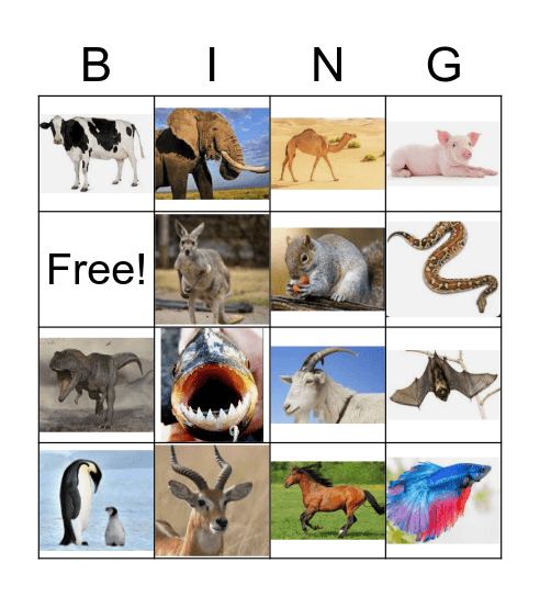 Me and my animal friends Bingo Card