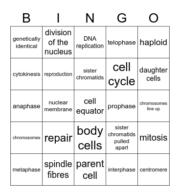 The Cell Cycle & Mitosis Bingo Card