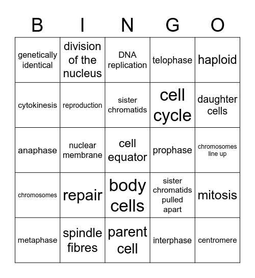 The Cell Cycle & Mitosis Bingo Card