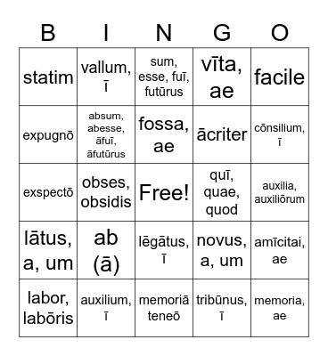Grammar/Latin S2W8 Bingo Card