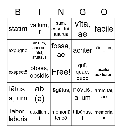 Grammar/Latin S2W8 Bingo Card