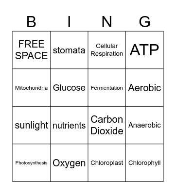 Cellular Respiration Bingo Card