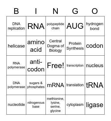 DNA/Protein Synthesis BINGO Card