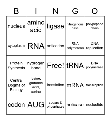 DNA/Protein Synthesis BINGO Card