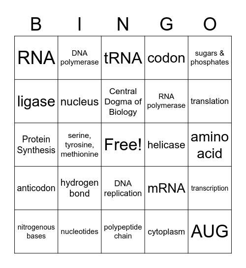 DNA/ Protein Synthesis Bingo Card