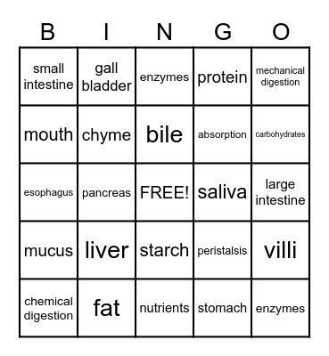 Digestive System Bingo Card
