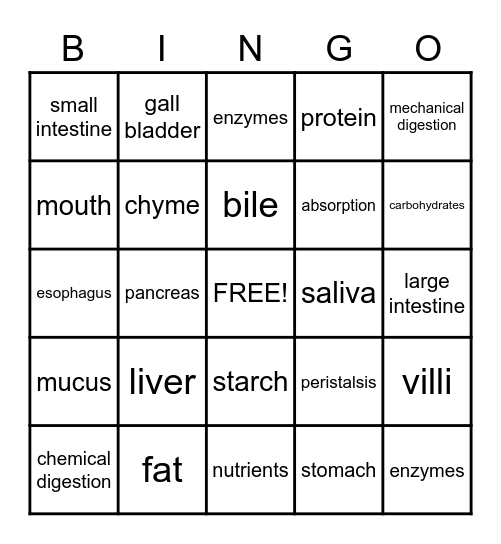 Digestive System Bingo Card
