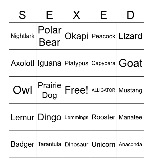 Animals Bingo Card