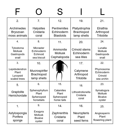 Fossil Bingo: Paleontologists at Play Bingo Card