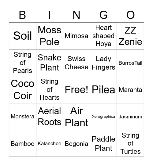 House Plant Bingo Card