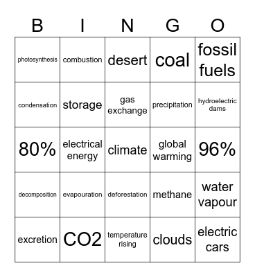 Water and carbon cycle Bingo Card