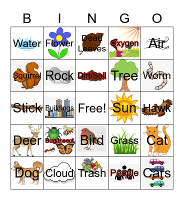 Backyard Biotic/Abiotic Factors Bingo Card