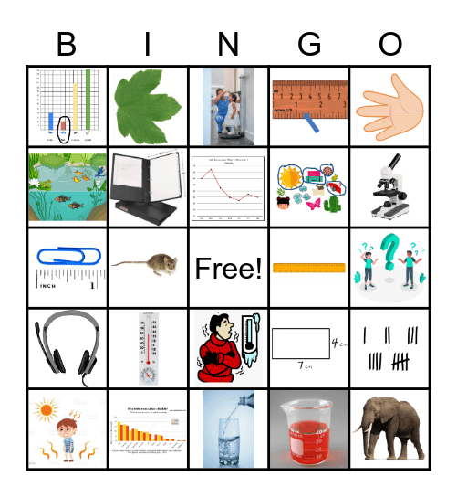 Measurement Bingo 2 Bingo Card