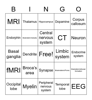 Neuroscience Bingo Card